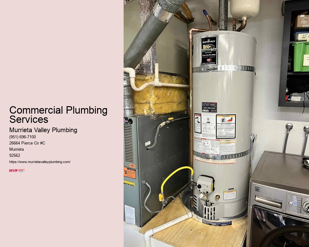 Commercial Plumbing Services